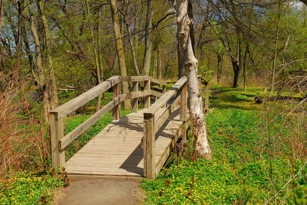 Reinstein Forest Preserve