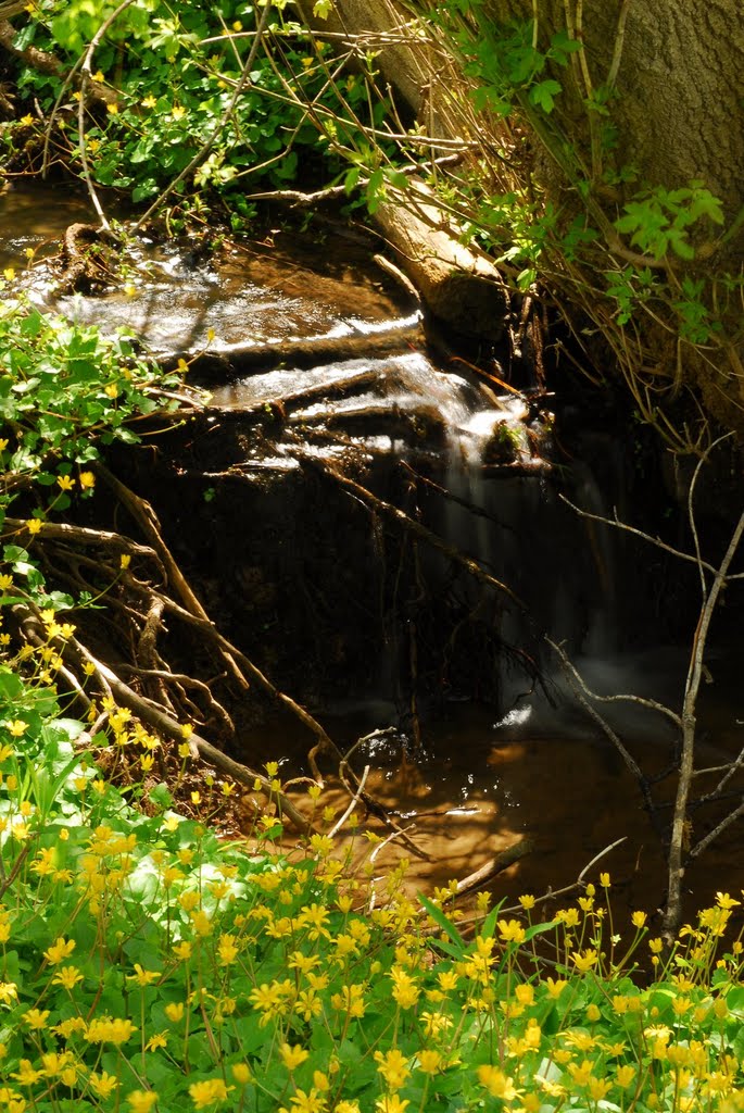 Creek