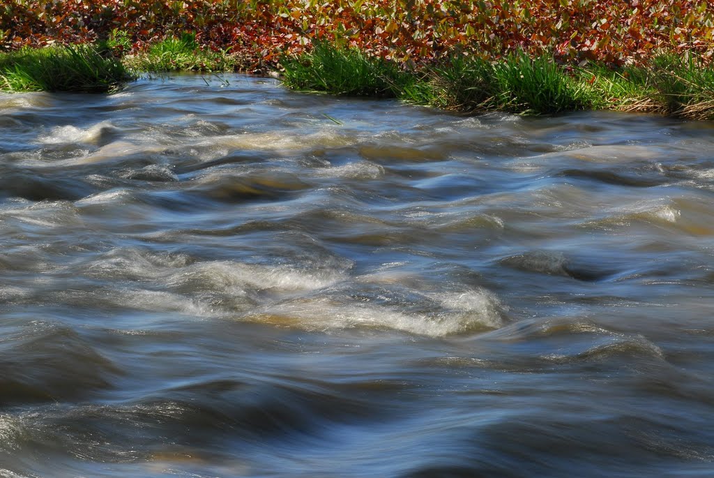 Cayuga River
