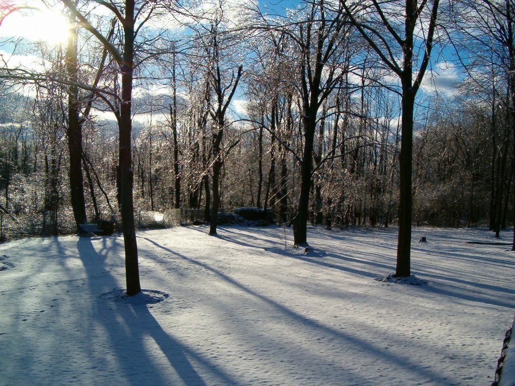 Winter day