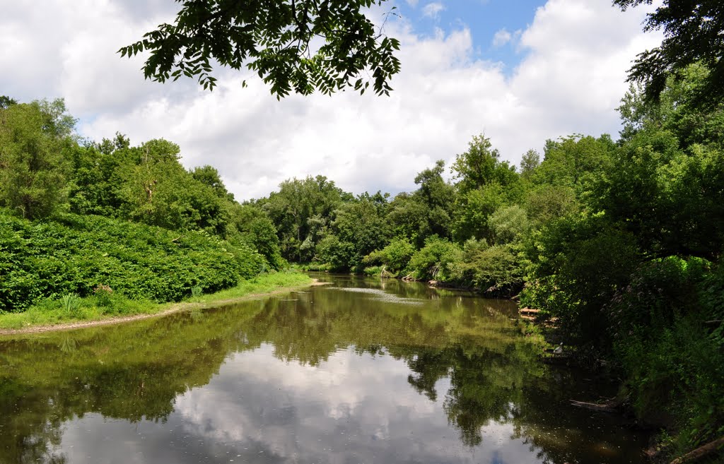 Cayuga Creek - Cayuga Trail in Stiglmeier Park, Cheektowaga, NY