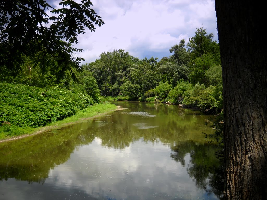 Cayuga Creek at Stiglmeier Park - Cheektowaga, NY