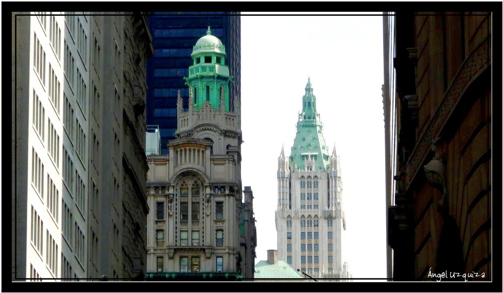 Woolworth building - New York - NY