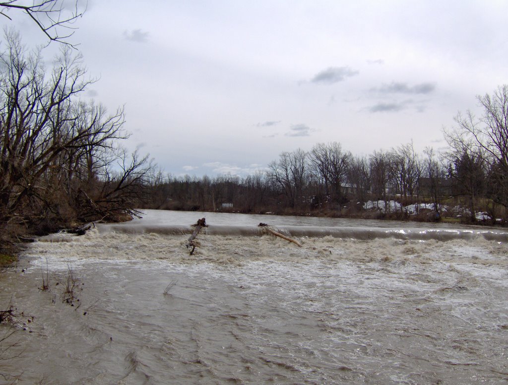 Buffalo Creek Falls spring flood