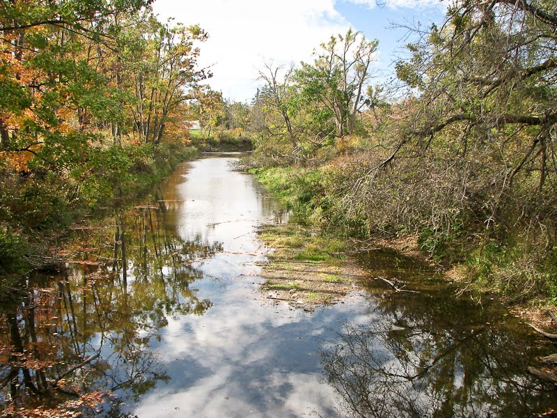 Como park