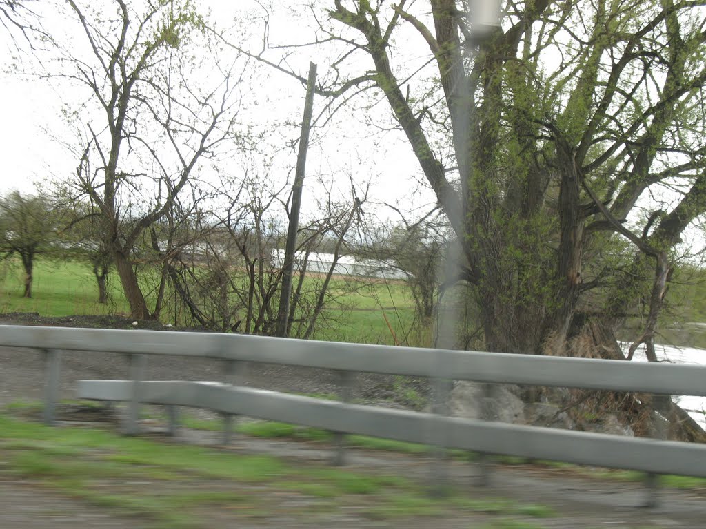 Trees before 354