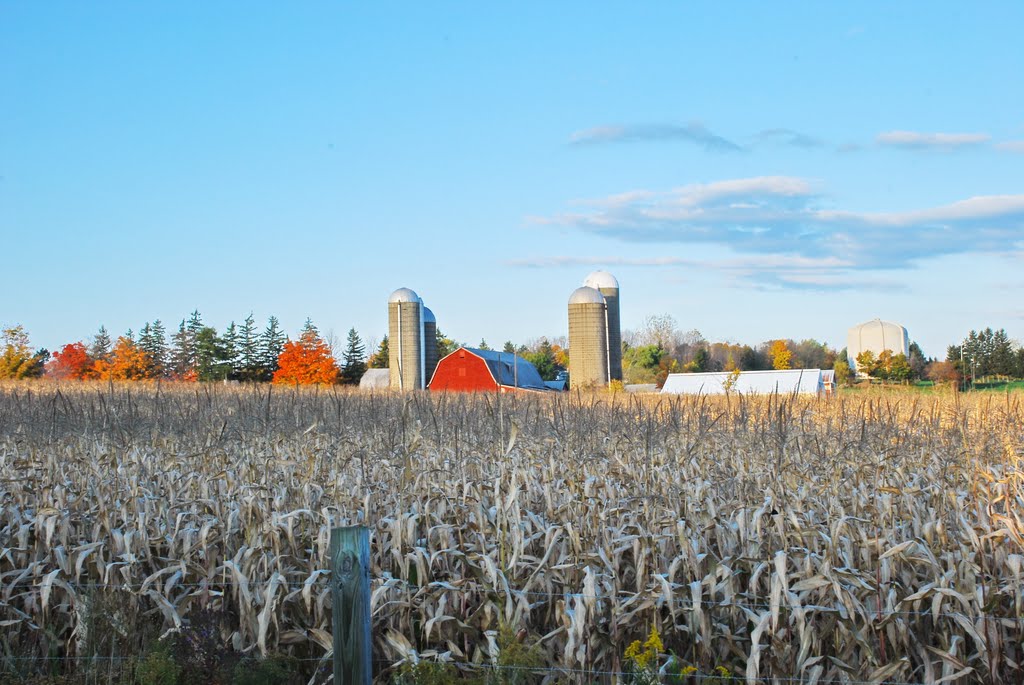 The WNY Southtowns Scenic Byway