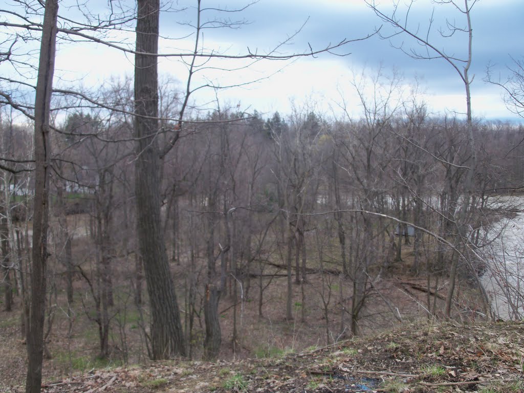 Unnamed Island on Leydecker Road