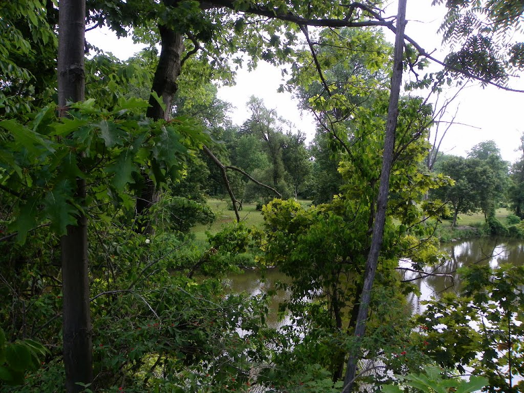 Cayuga Creek, Como Park