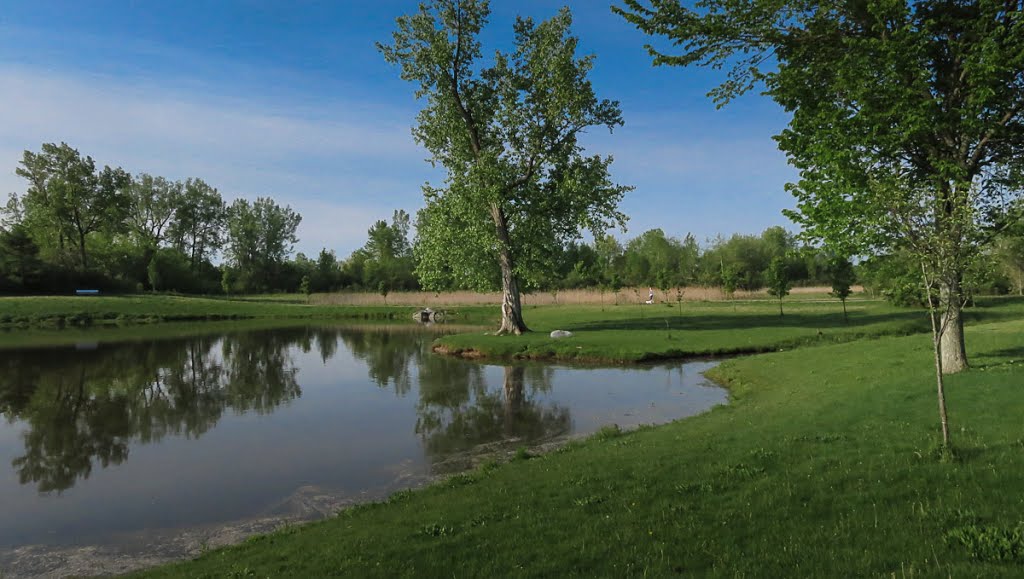 Westwood Park