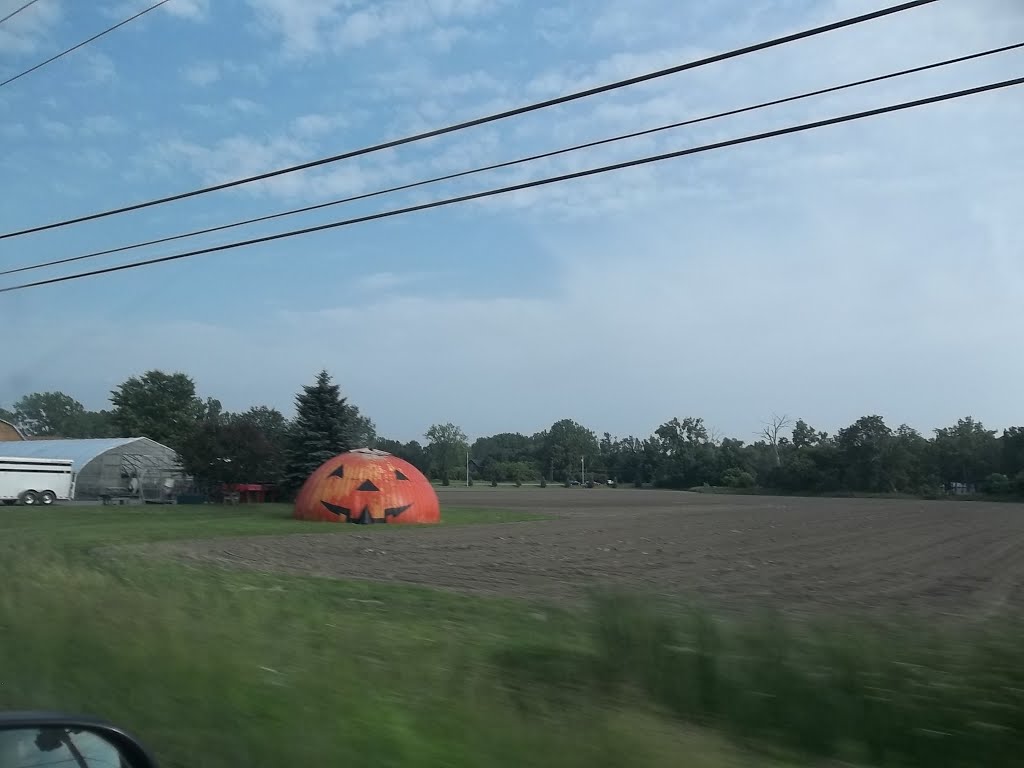 Pumpkin