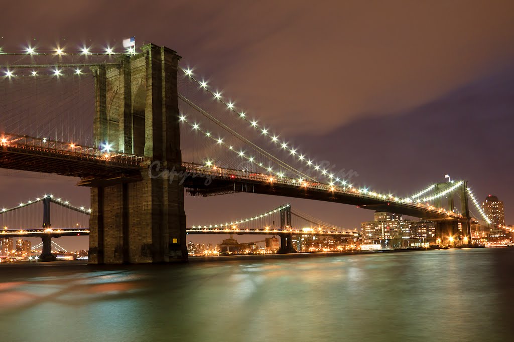 BMW Bridges