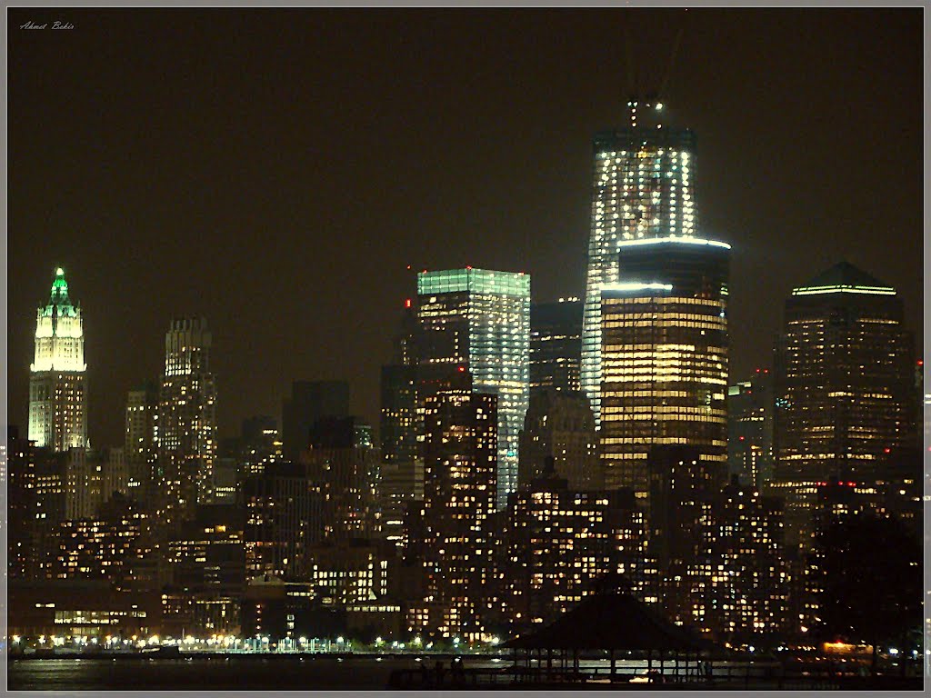 Manhattan - The Urban Jungle (* by Ahmet Bekir)