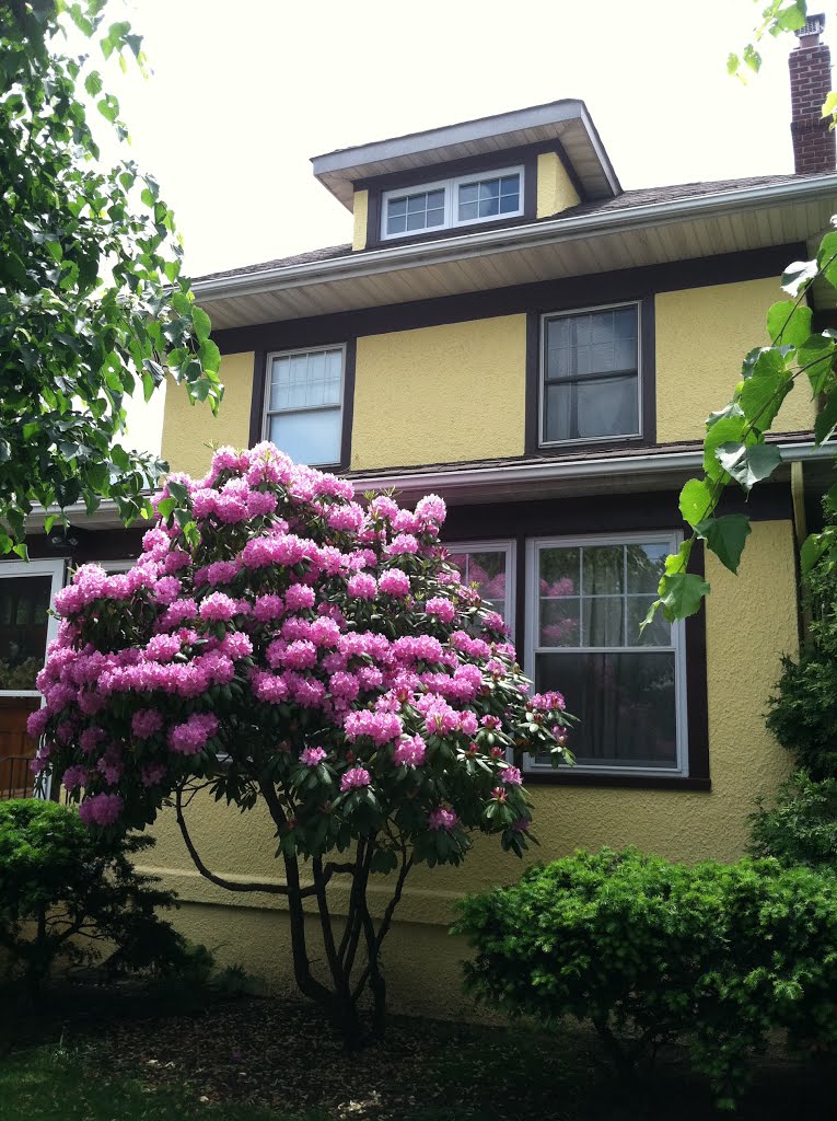226 Tulip Avenue, Floral Park for sale