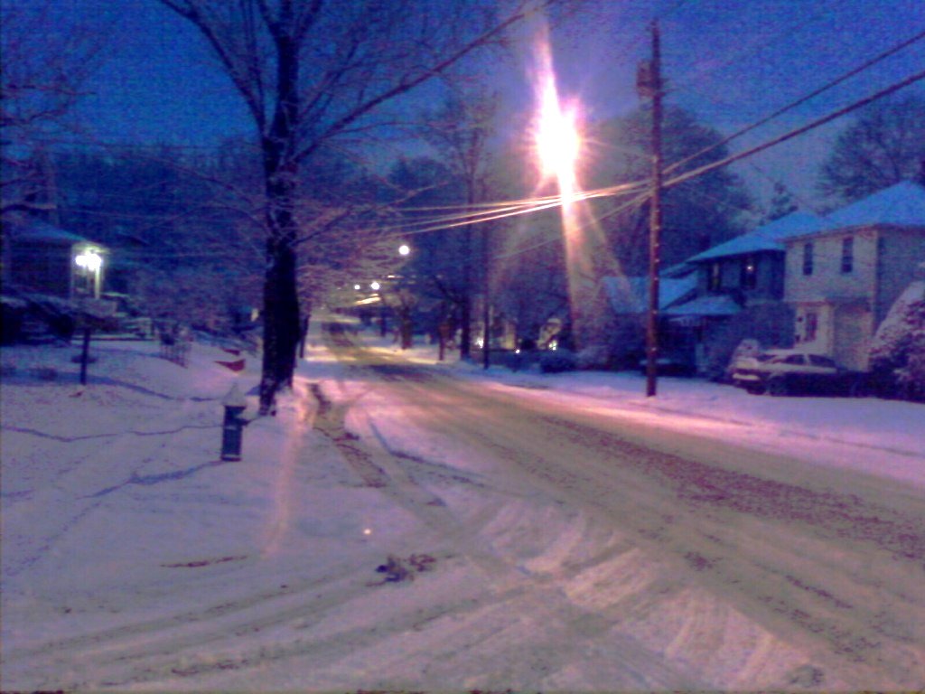 Floral Park on a snowy morning.
