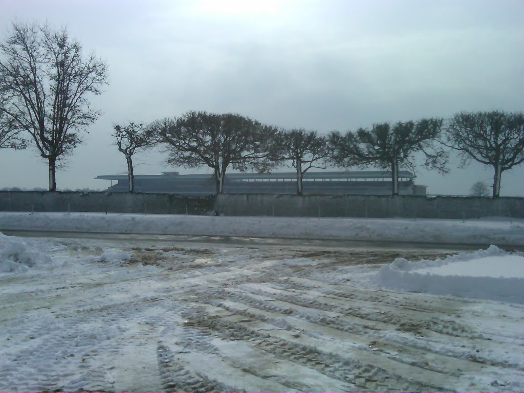 Belmont Park Grandstands