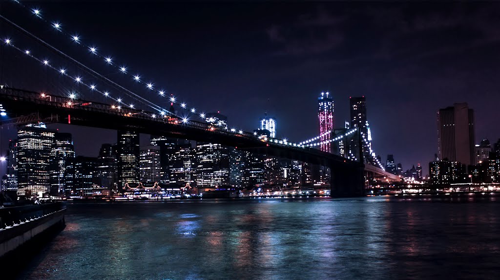A bridge between the world and the life