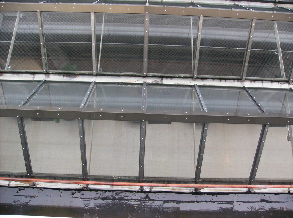 UEHS Tree Room from Above
