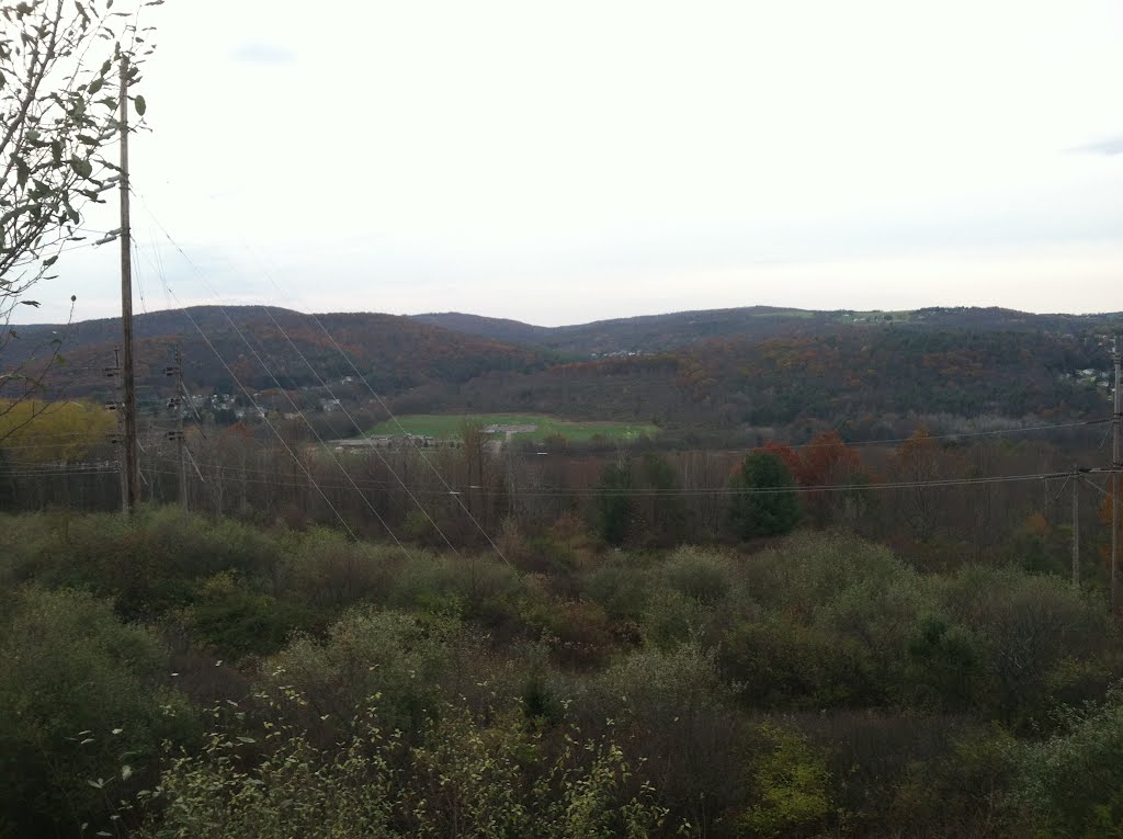 View