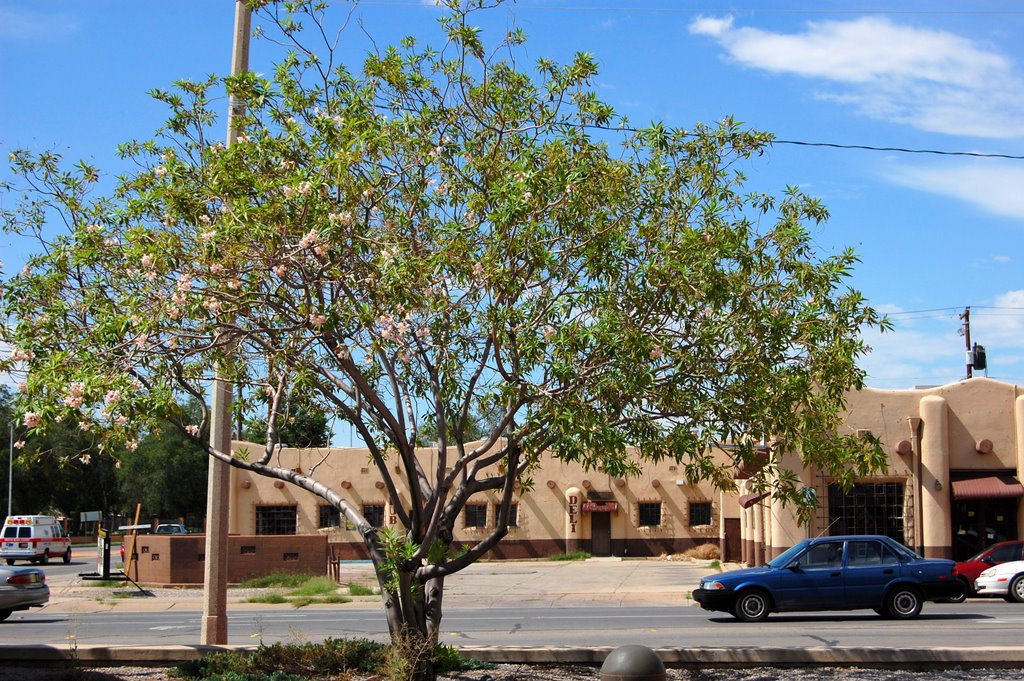 Alamogordo Founders Park