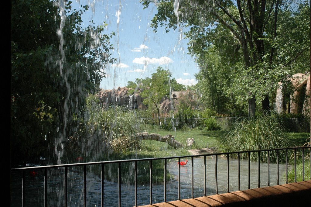albuquerque,jardin botanico