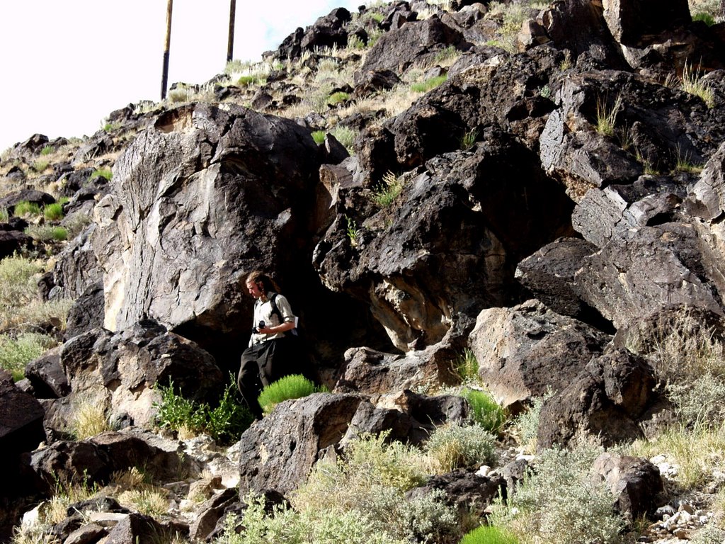 Petroglyph National Park, NM