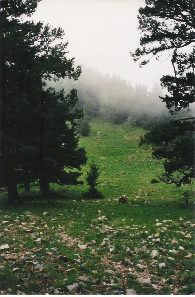 Manzano Crest Trail
