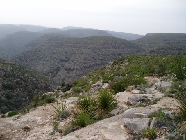 Above Carlsbad Caverns