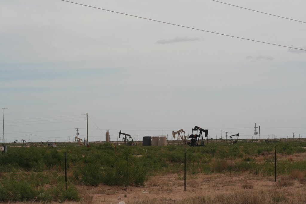Loco Hills, Pump Oil