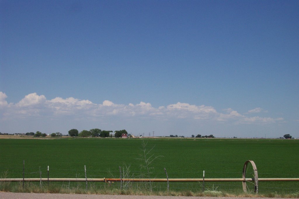 Artesia Green