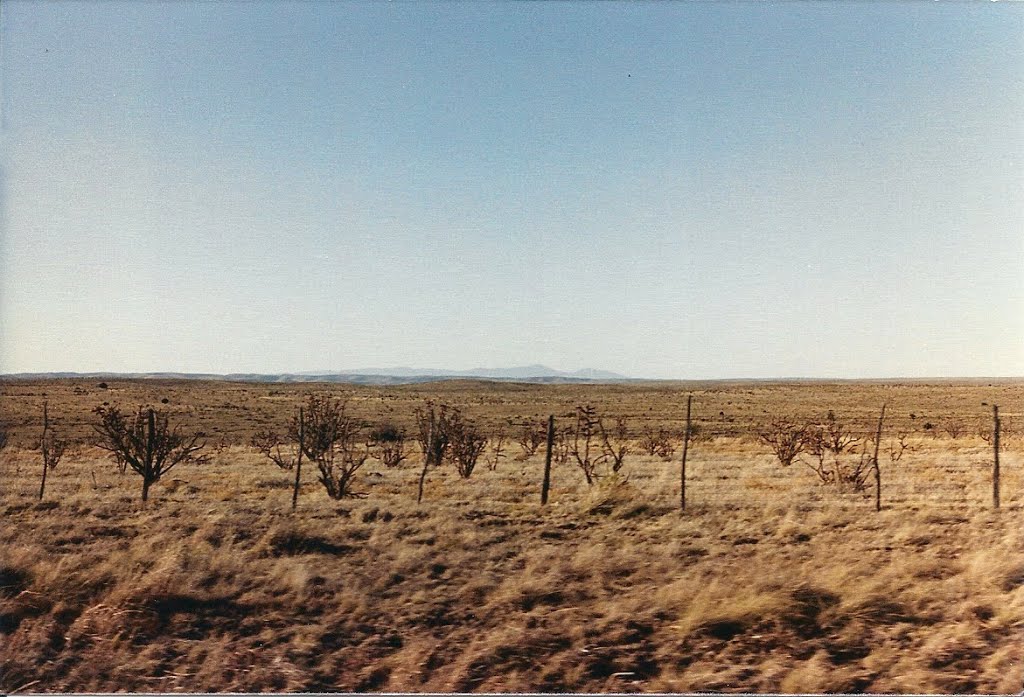 View Along Highway 82 N.M.