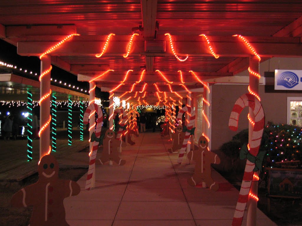 Carlsbad Christmas Lights, New Mexico