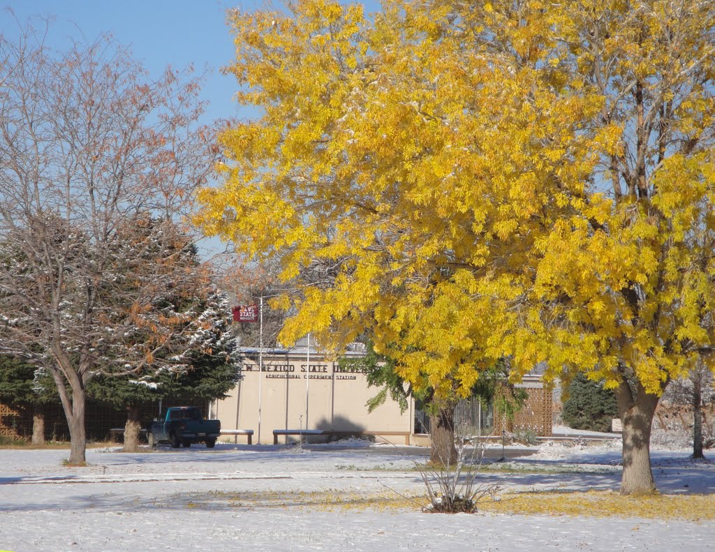 NMSU Agricultural Science Center at Farmington, NM.