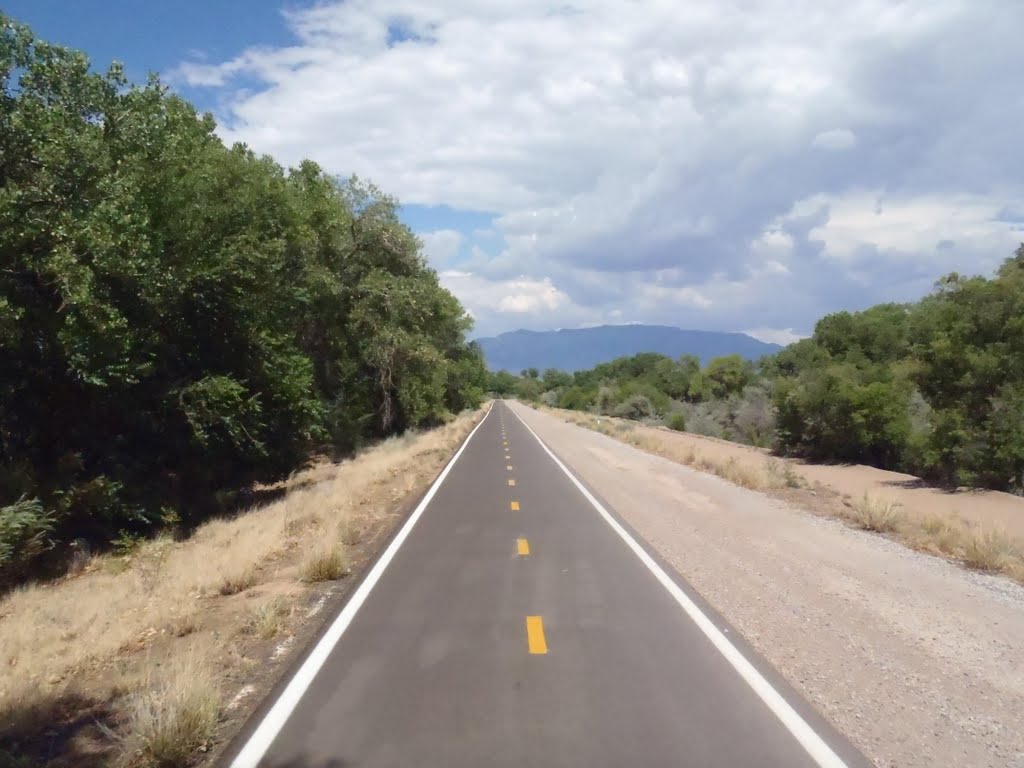Rio Grande Bosque Bicycle Trail