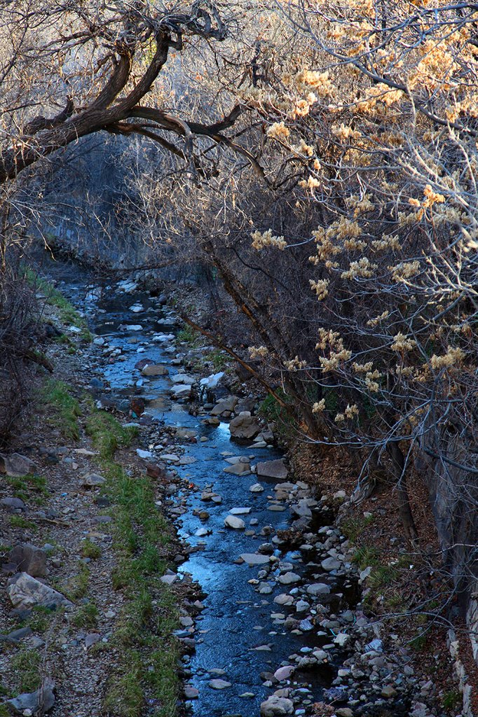 Big Ditch, Silver City #2