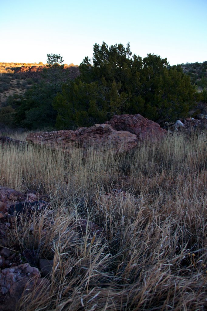 Fading Daylight on Boston Hill