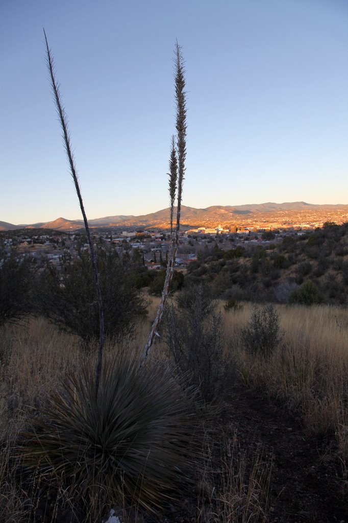 Silver City From Boston Hill Trail