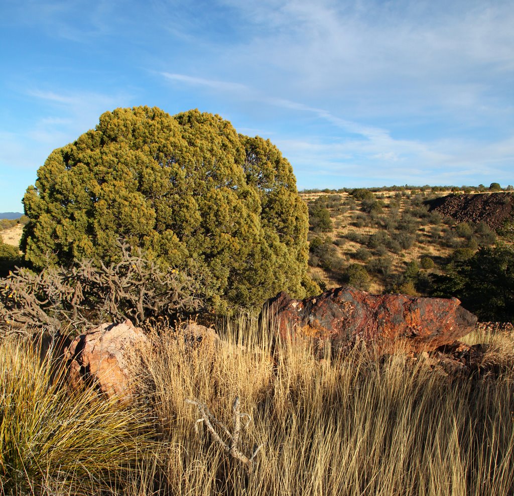 View East Near King Bolt Pit
