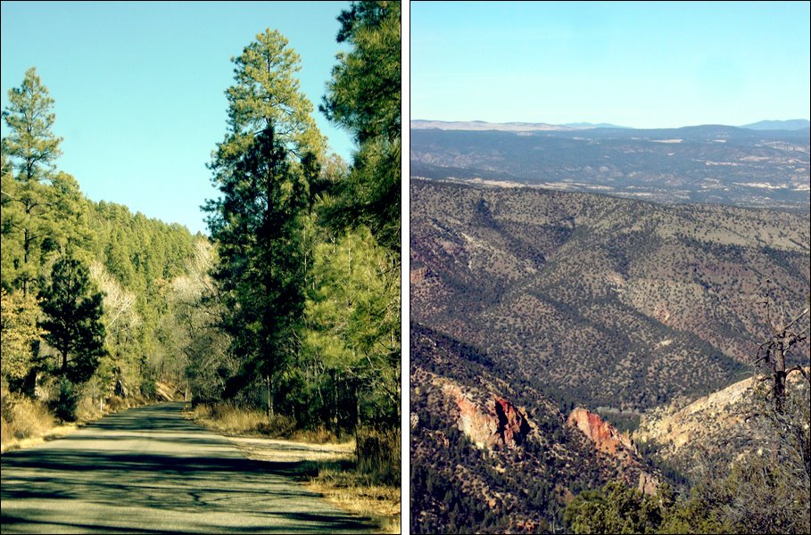 Gila National Forest