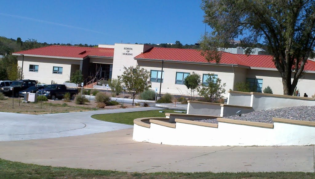 Nursing Building
