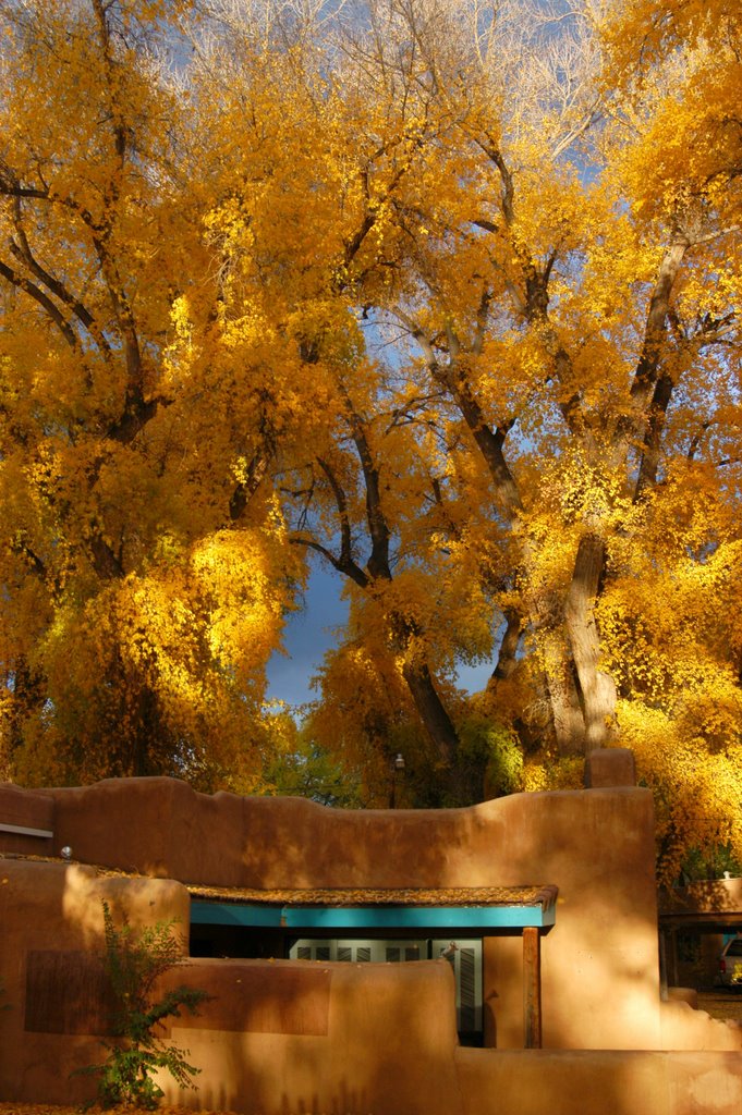 Autumn in Taos