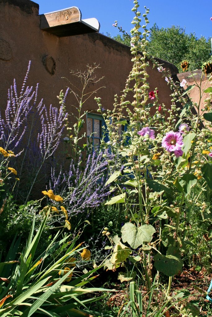 Blumenschien Home and Studio