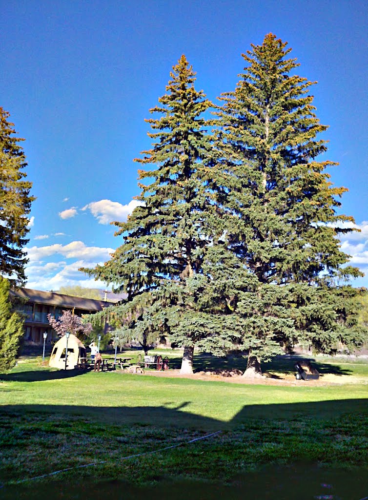 Indian Hills Inn