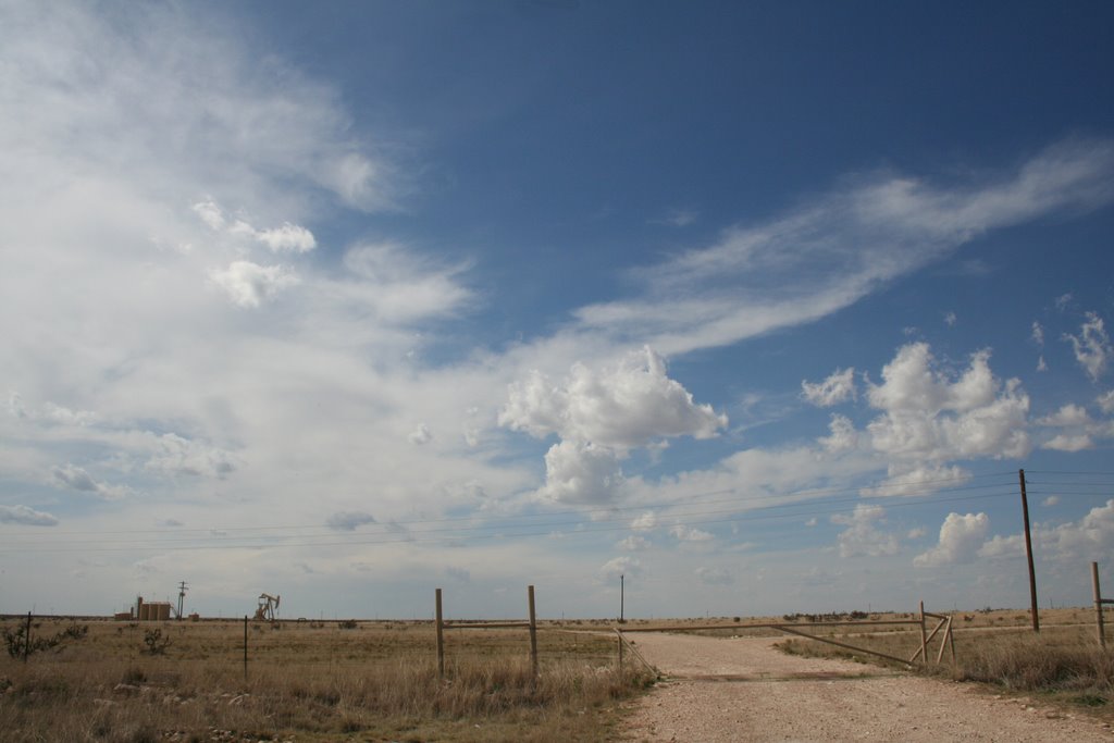 New Mexico Sky