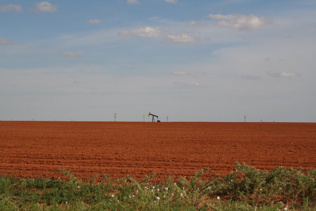 Seminole, Oil in the red Field
