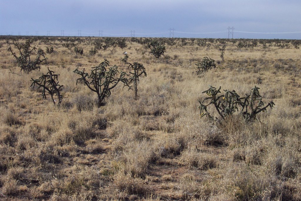 Maljamar,NM