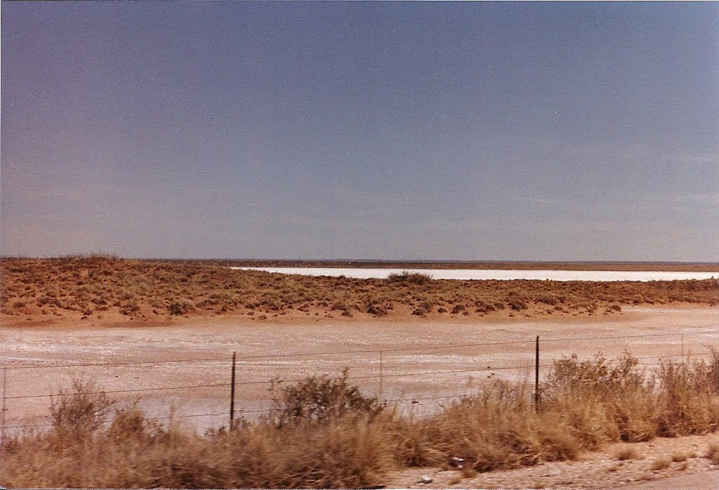 Laguna Gatuna