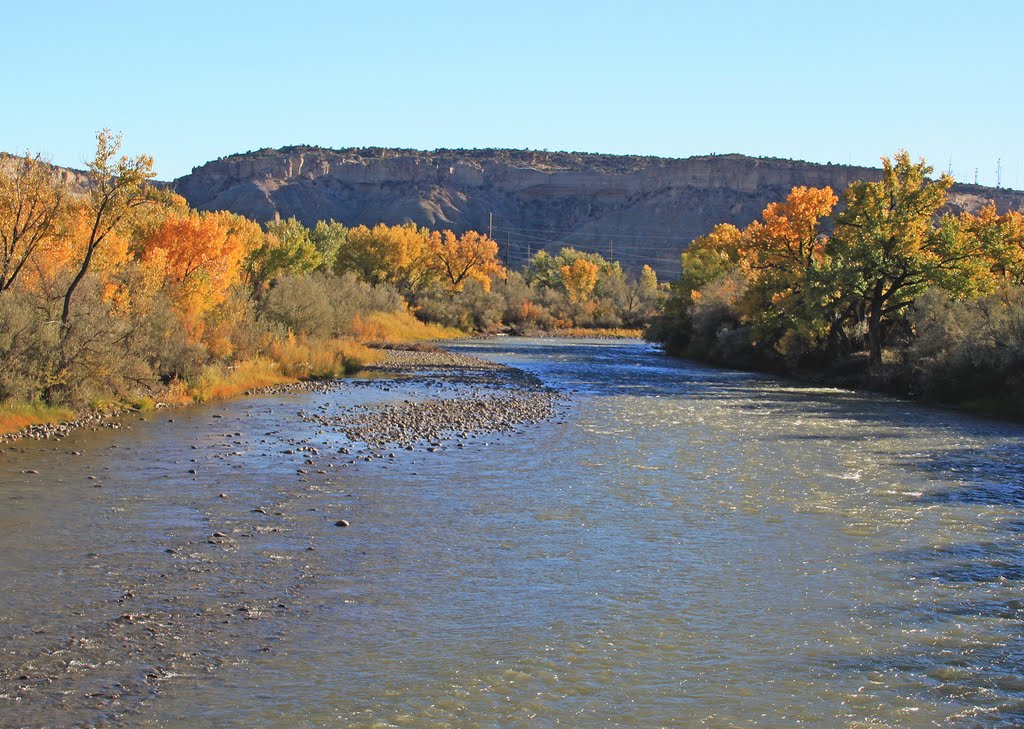 Animas River- one mile before meeting the San Juan
