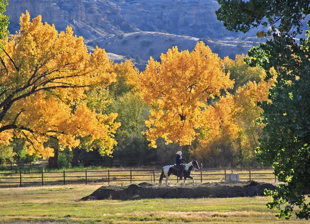 Autumn Horse Training