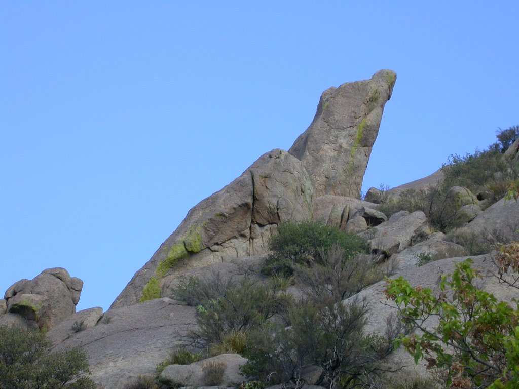 albuquerque, high desert, el lagarto